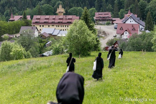 (Fotoreportaj) Leacuri pentru cei din lume – povestea neștiută a laboratorului de la Mănăstirea Paltin