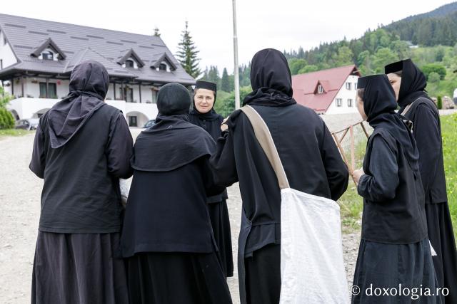 (Fotoreportaj) Leacuri pentru cei din lume – povestea neștiută a laboratorului de la Mănăstirea Paltin