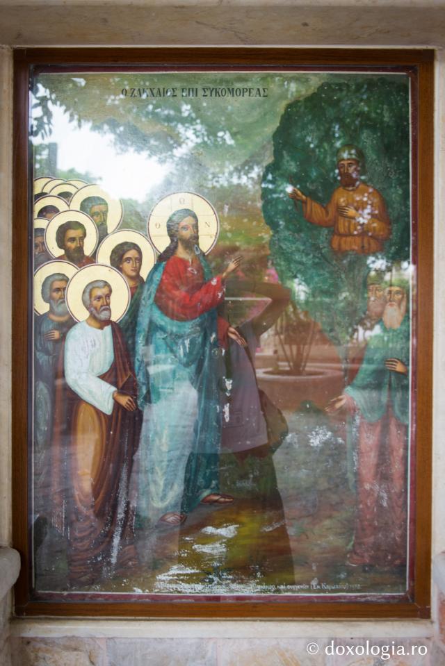 Sicomorul lui Zaheu și Mănăstirea Sfântul Proroc Elisei din Ierihon