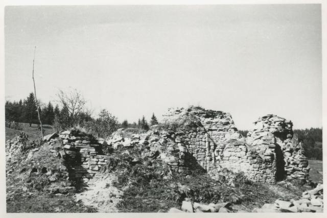 (Foto) Unde au fost descoperite moaștele Sfinților Sila, Paisie și Natan ‒ Ruinele de la Sihăstria Putnei