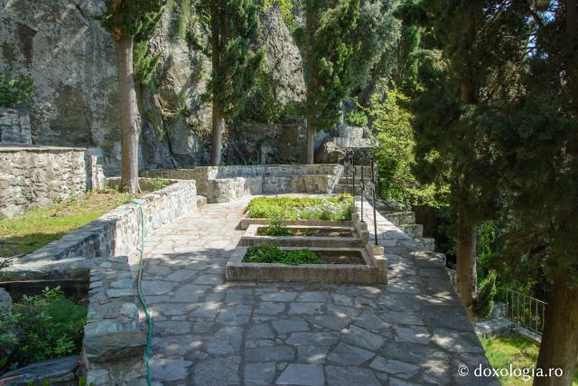 (Foto) Tihna din cimitirul Mănăstirii Dionisiu – Athos