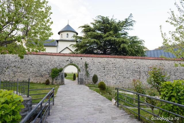 Mănăstirea Morača