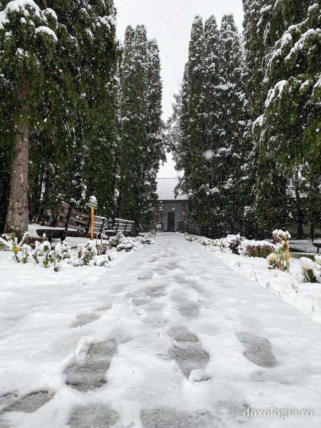 Prima zăpadă la Mănăstirea Pângărați