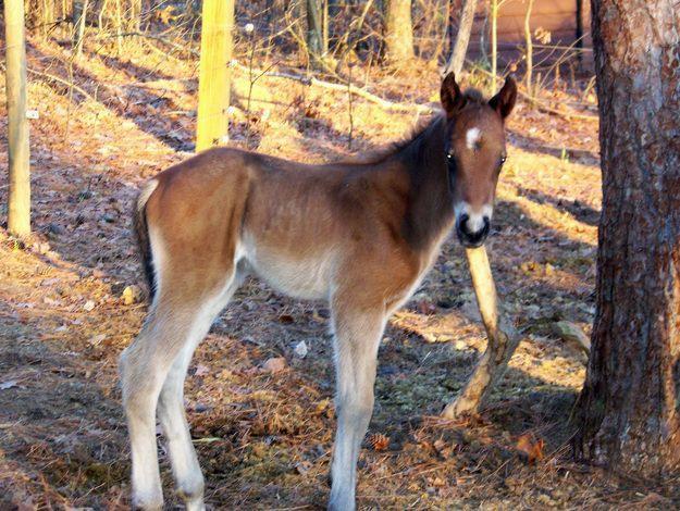 Ferească Dumnezeu !