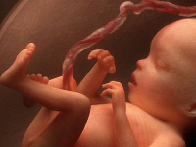 Episcopii polonezi opresc de la Împărtășanie pe susținătorii fertilizării in vitro (IVF)