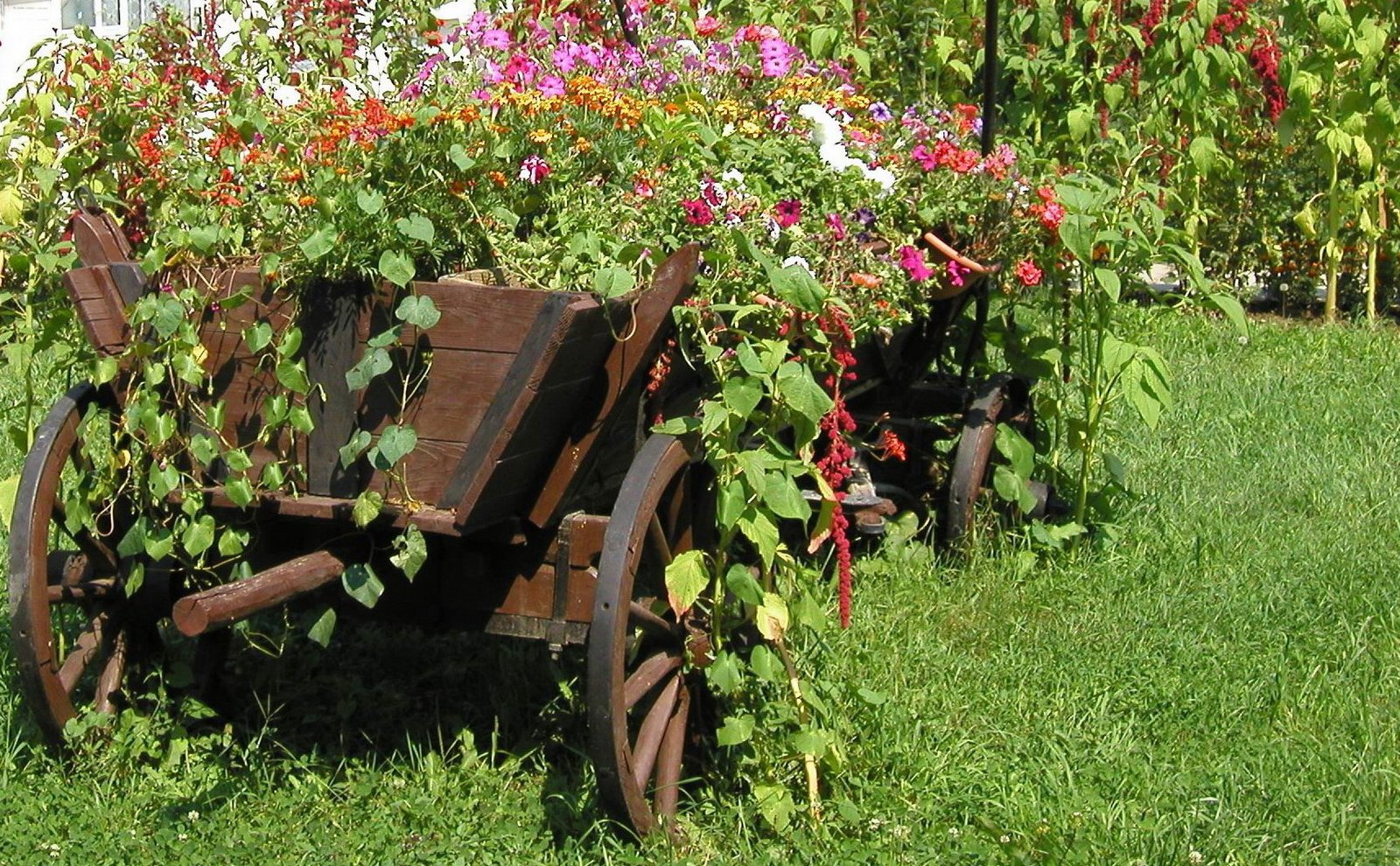 Lumea, loc de exersare spirituală