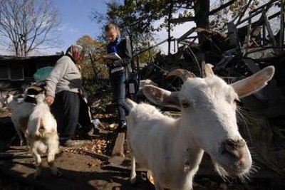 În 2050, majoritatea credincioșilor din Federația Rusă ar putea fi... musulmană