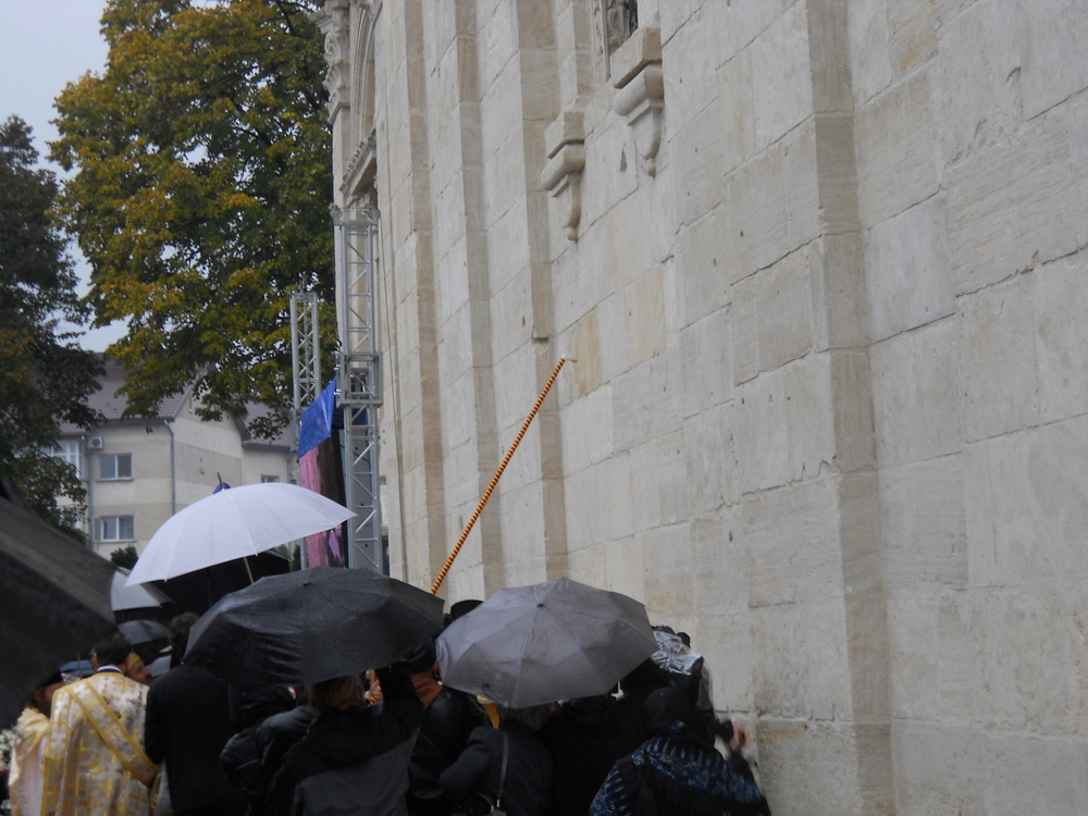 Cronica unei sfințiri