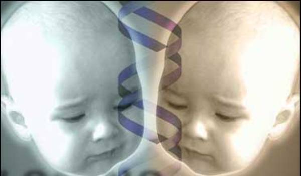 „Veșnică amintire” oiței Dolly!