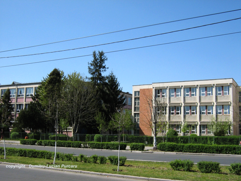 Ziua Mondială a Asistenţei Sociale la Craiova Ziua Mondială a Asistenţei Sociale la Craiova