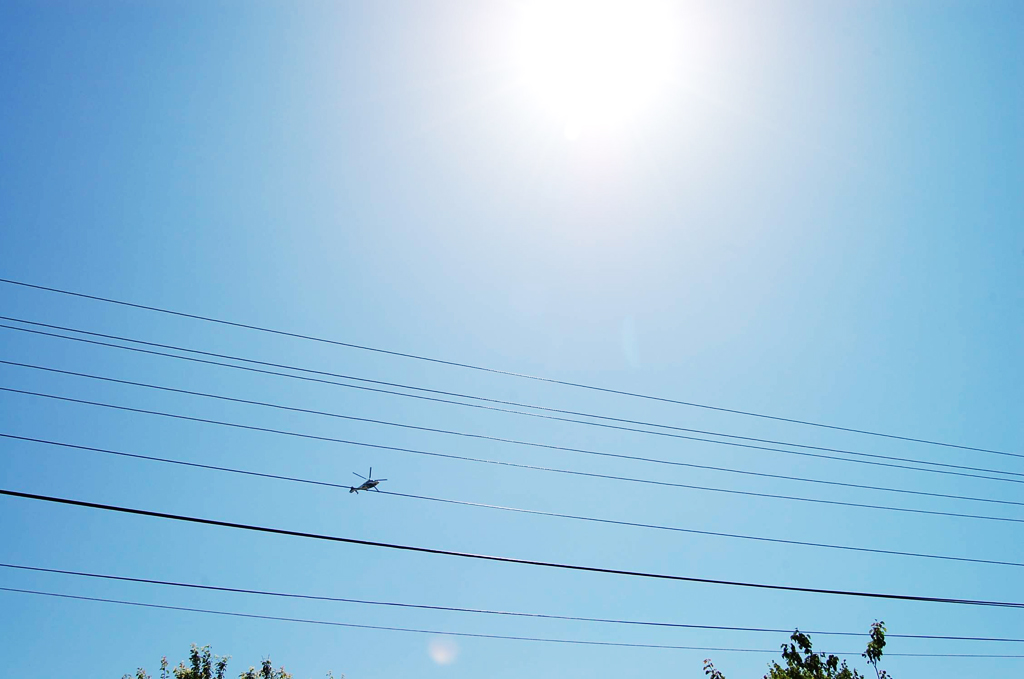 Creşte alarmant numărul cancerelor de piele Creşte alarmant numărul cancerelor de piele