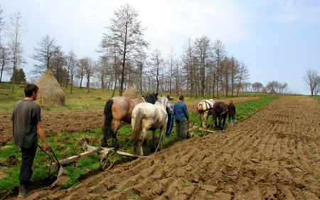 Comasarea terenurilor, vitală pentru modernizarea agriculturii Comasarea terenurilor, vitală pentru modernizarea agriculturii