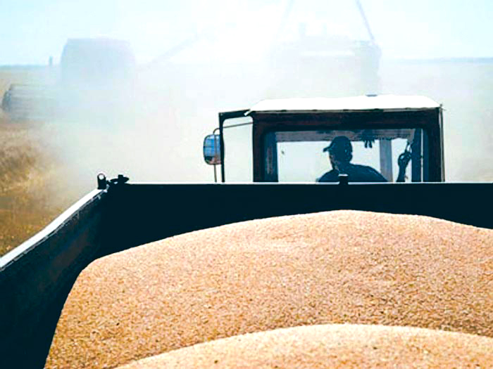 Producţii foarte bune la grâu şi orz Producţii foarte bune la grâu şi orz