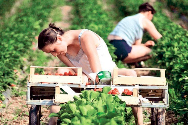 Românii exploataţi de români, în Spania Românii exploataţi de români, în Spania