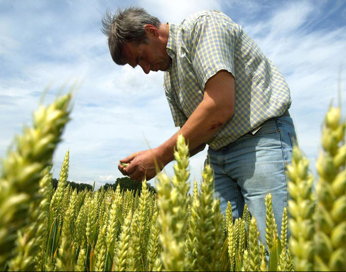 Agricultura, vitală pentru dezvoltarea României Agricultura, vitală pentru dezvoltarea României
