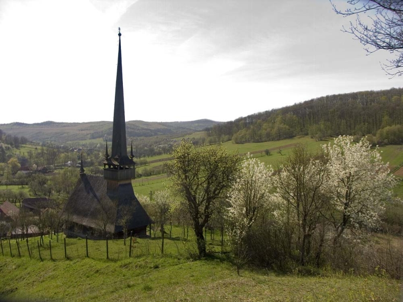 Promovarea bisericilor din lemn din judeţul Sălaj