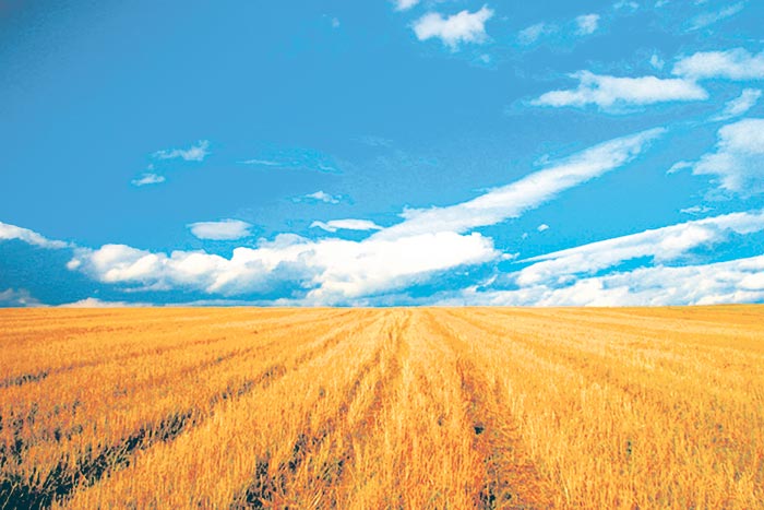 România - cea mai mare suprafaţă agricolă pe cap de locuitor România - cea mai mare suprafaţă agricolă pe cap de locuitor