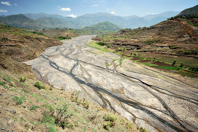 Agenţia &quot;Christian Aid&quot; cheamă popoarele la solidaritate cu victimele foametei din estul Africii
