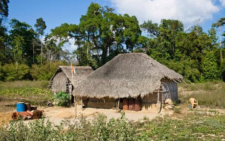 Apel împotriva „Safari-urilor umane” în Insula Andaman Apel împotriva „Safari-urilor umane” în Insula Andaman