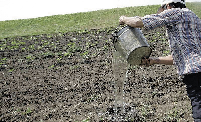 Seceta ne ameninţă din nou