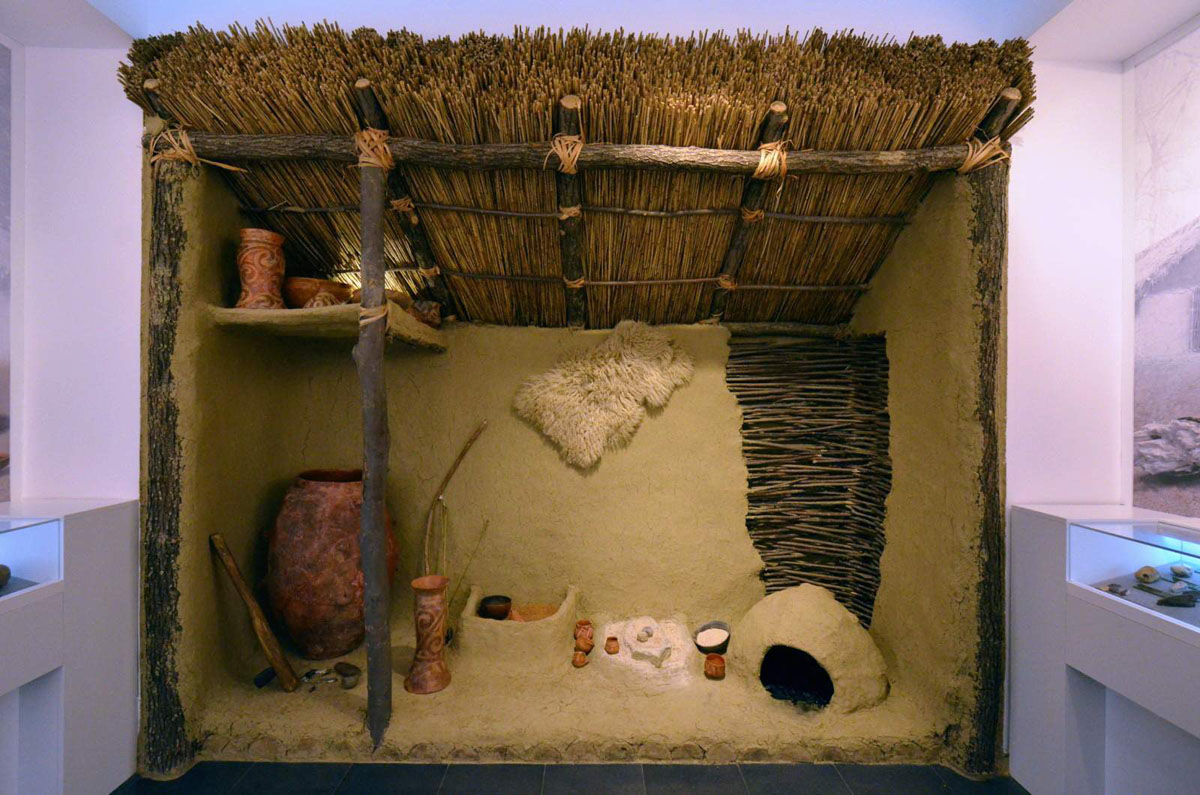 S-a deschis Muzeul Universităţii „Al. I. Cuza“