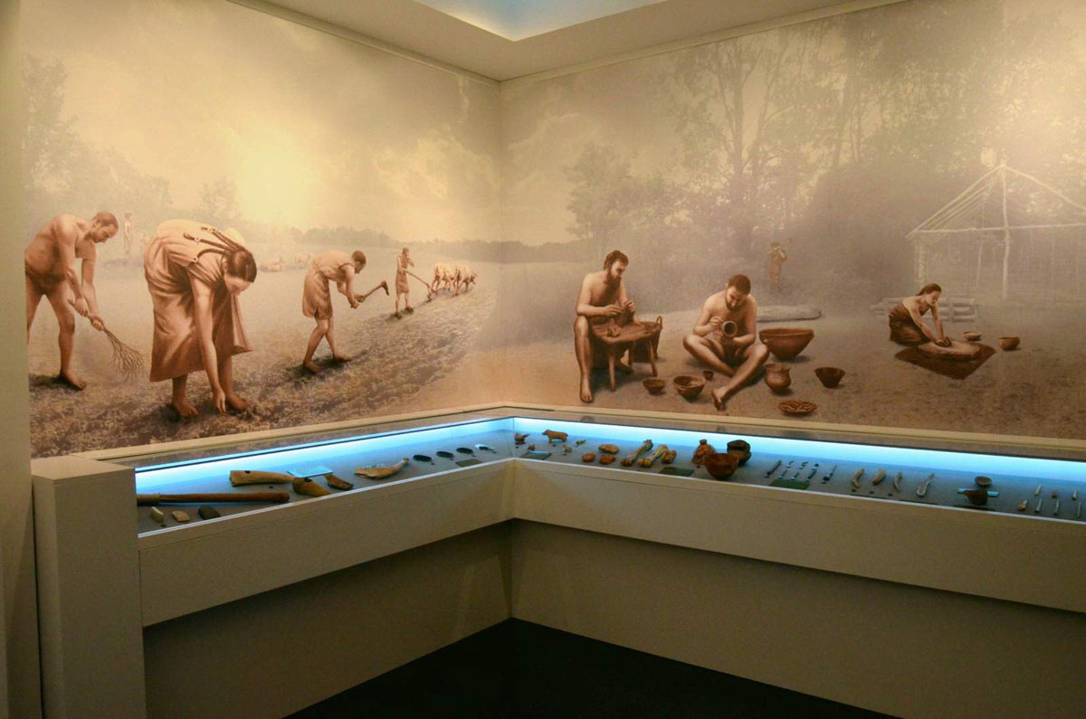 S-a deschis Muzeul Universităţii „Al. I. Cuza“