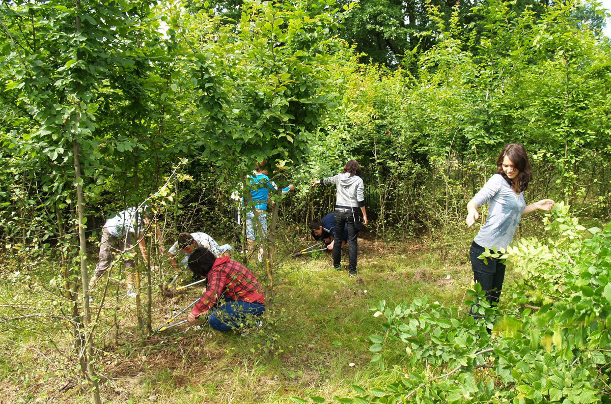 Învăţământul profesional va fi revigorat