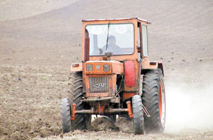 Termenul pentru plata rentei viagere, prelungit