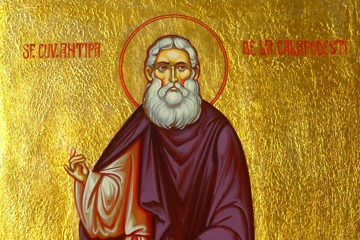 Viața Sfântului Cuvios Antipa de la Calapodești