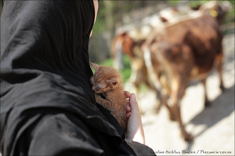 Călătorie în imagini prin lumea ortodoxă românească