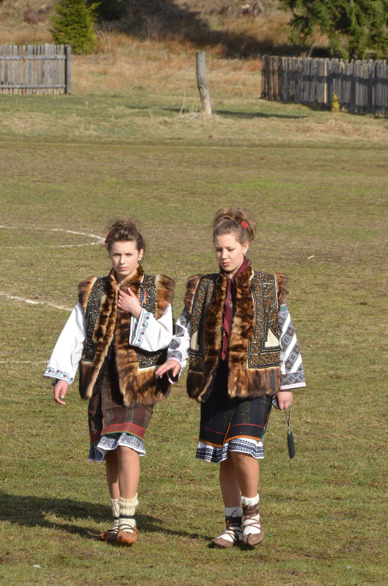 Dragobetele, ziua în care se „logodesc” păsările