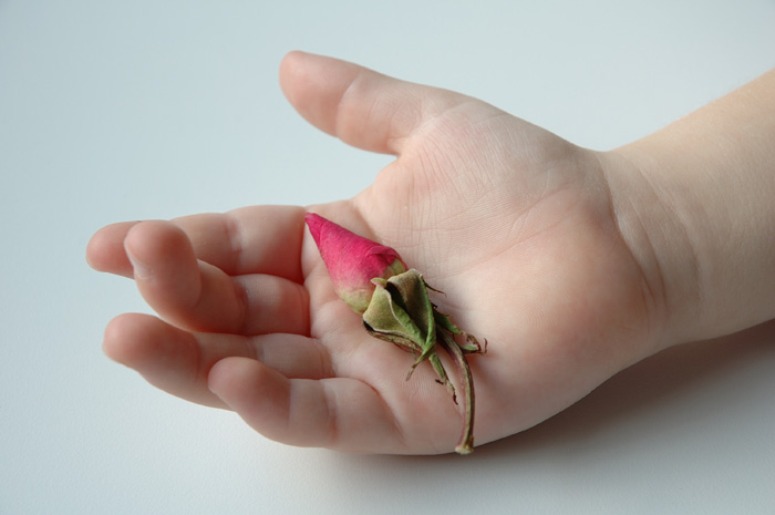 Activista pro-viaţă Mary Wagner eliberată din închisoare