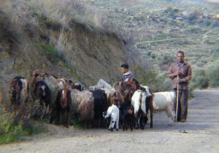 Bisericile creştine sunt împotriva violenţei în Ţara Sfântă