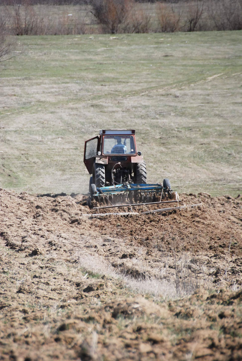 Asistenţă pentru întocmirea proiectelor în agricultură