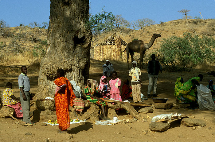 Eforturi pentru oprirea genocidului creştin în Sudan
