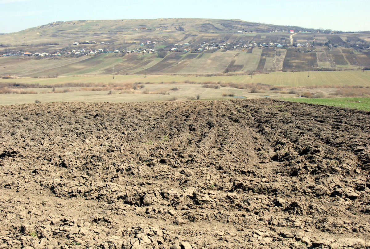 Agricultorii care dau foc miriştilor îşi pot pierde subvenţiile