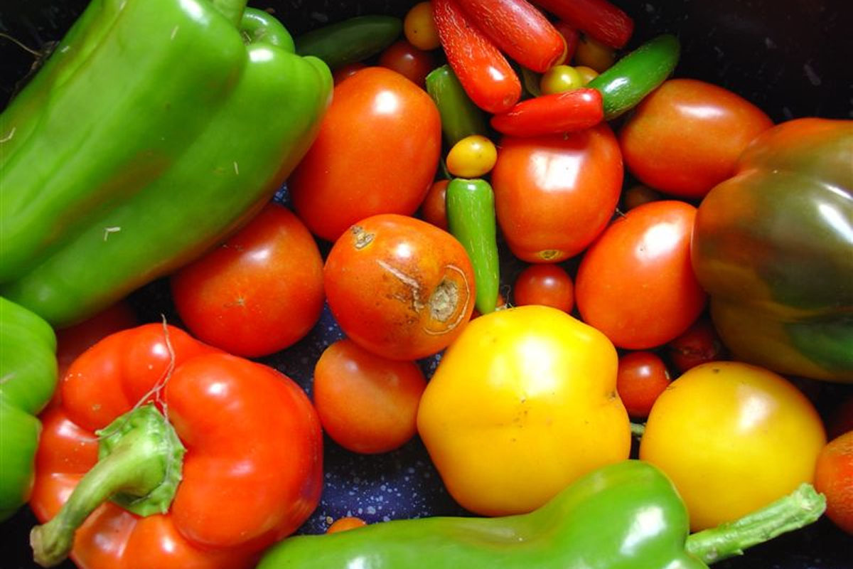 Mişcarea şi un stil de viaţă sănătos menţin sănătatea inimii