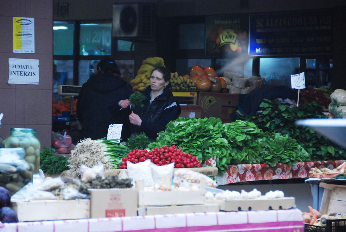 Problemele legumicultorilor, dezbătute la Matca - Galaţi