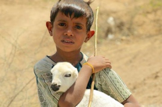 „Coptic Orphans” interzisă în Egipt