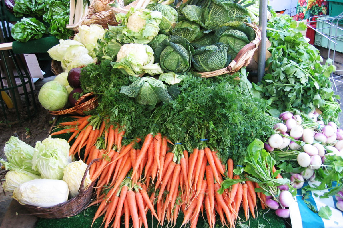 România ar putea fi prima ţară din Europa ca producţie şi consum în agricultura ecologică