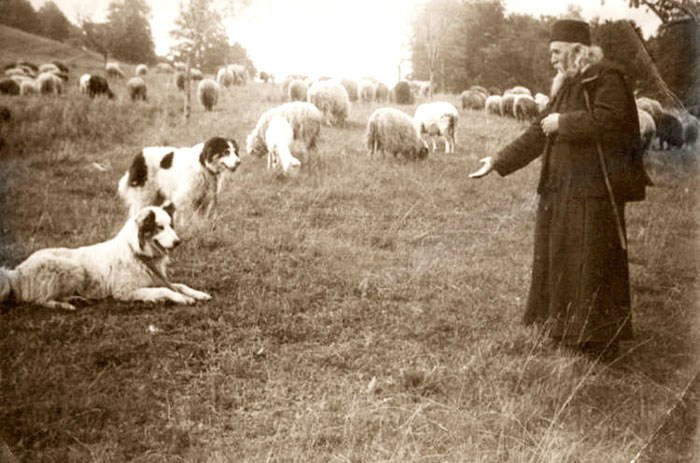 Părintele Cleopa Ilie la începutul regimului comunist