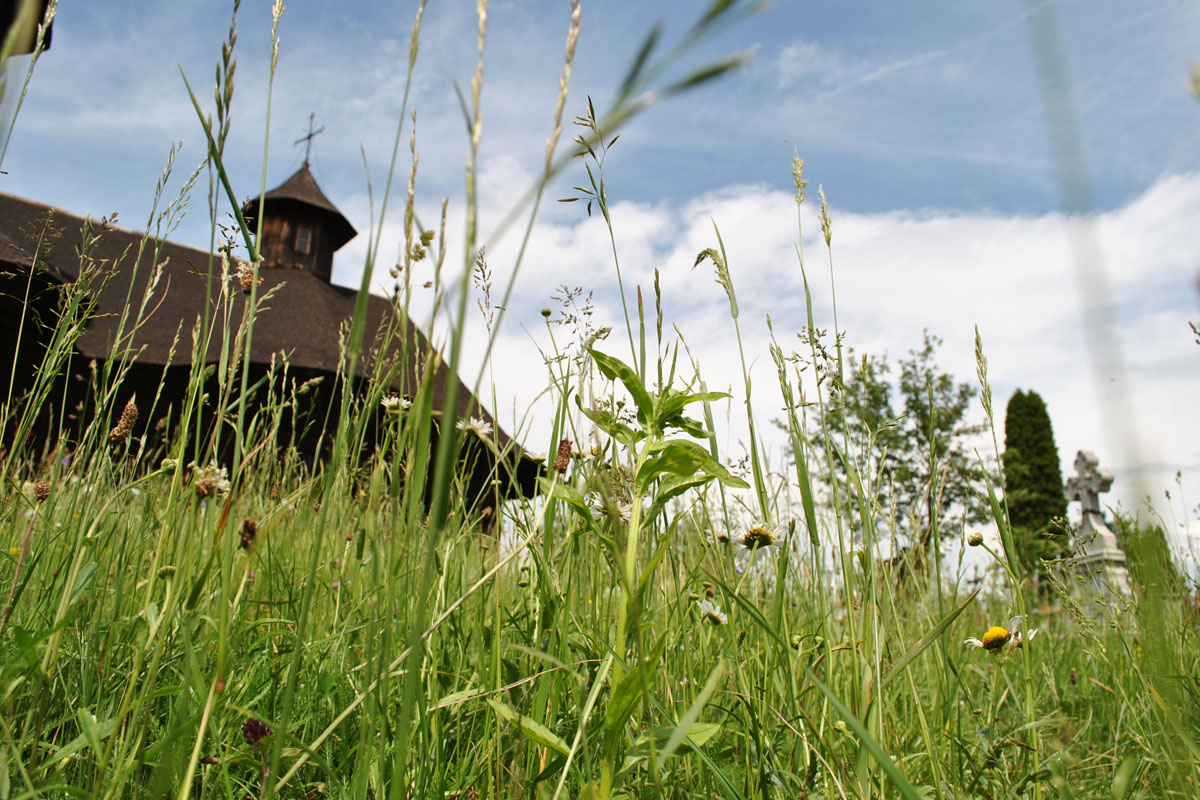 Monumentalul lăcaş de lemn de la Botoşana