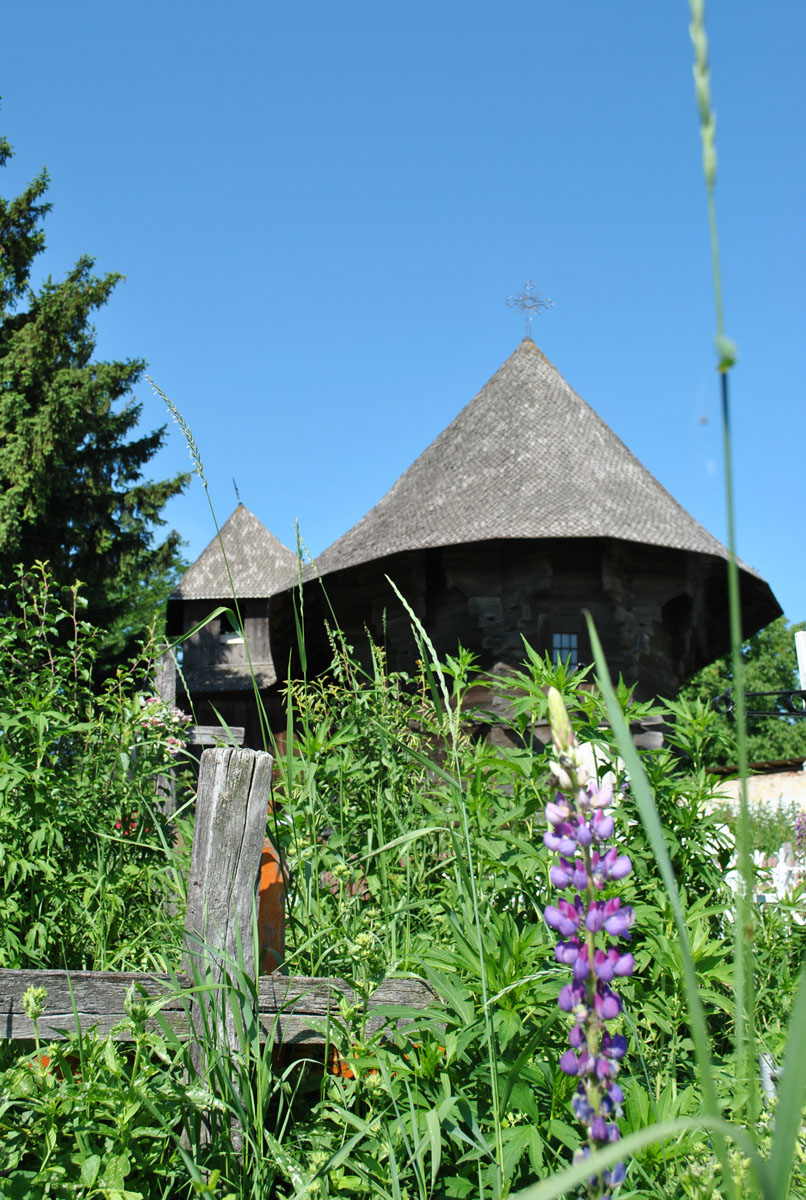 „Dragomirna“ în lemn de la Drăguşeni