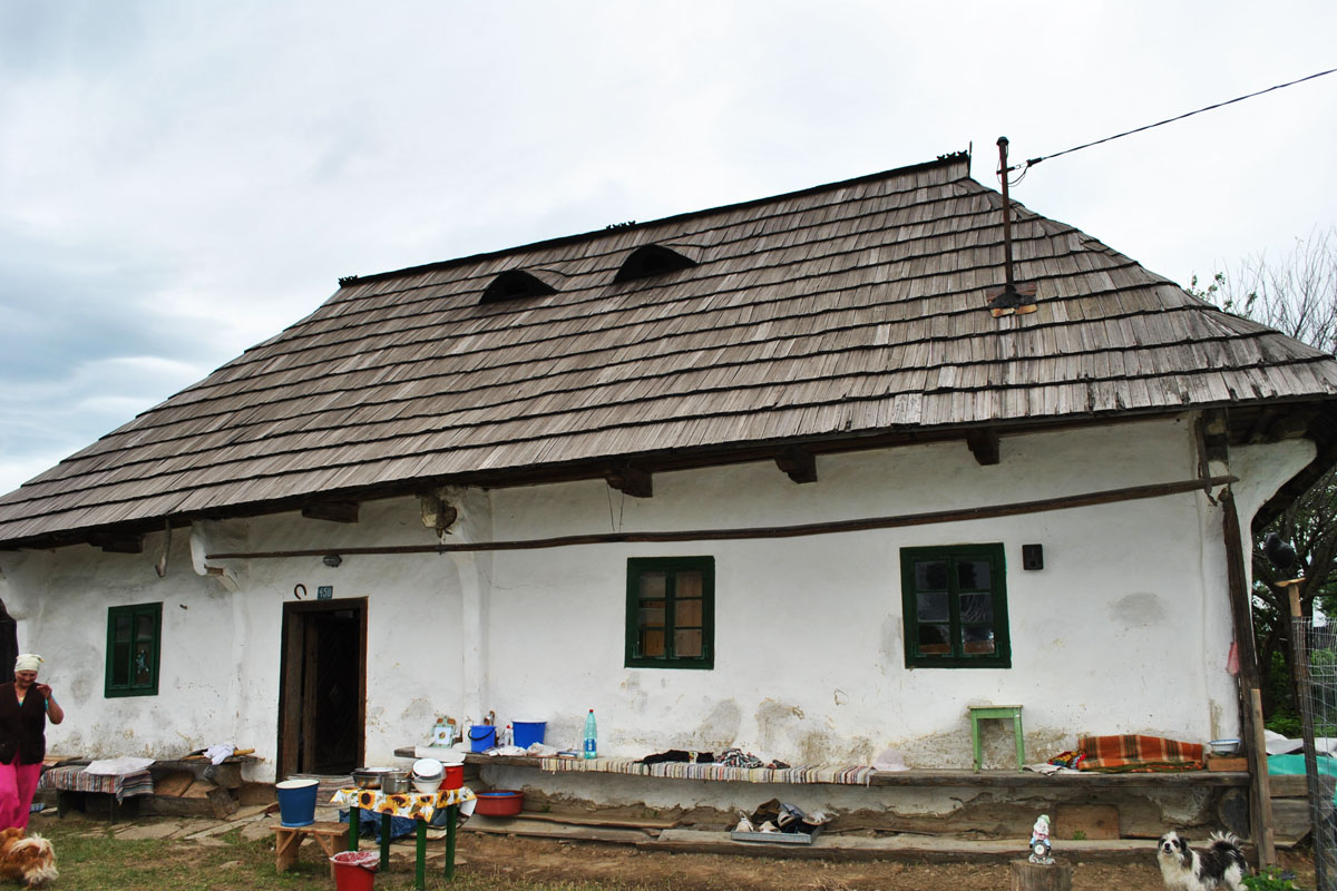 Împărăţia lemnului sfinţit de la Frătăuţii Noi