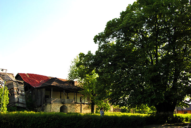 Un lăcaș „lăsat în pace”: Mănăstirea Bârnova