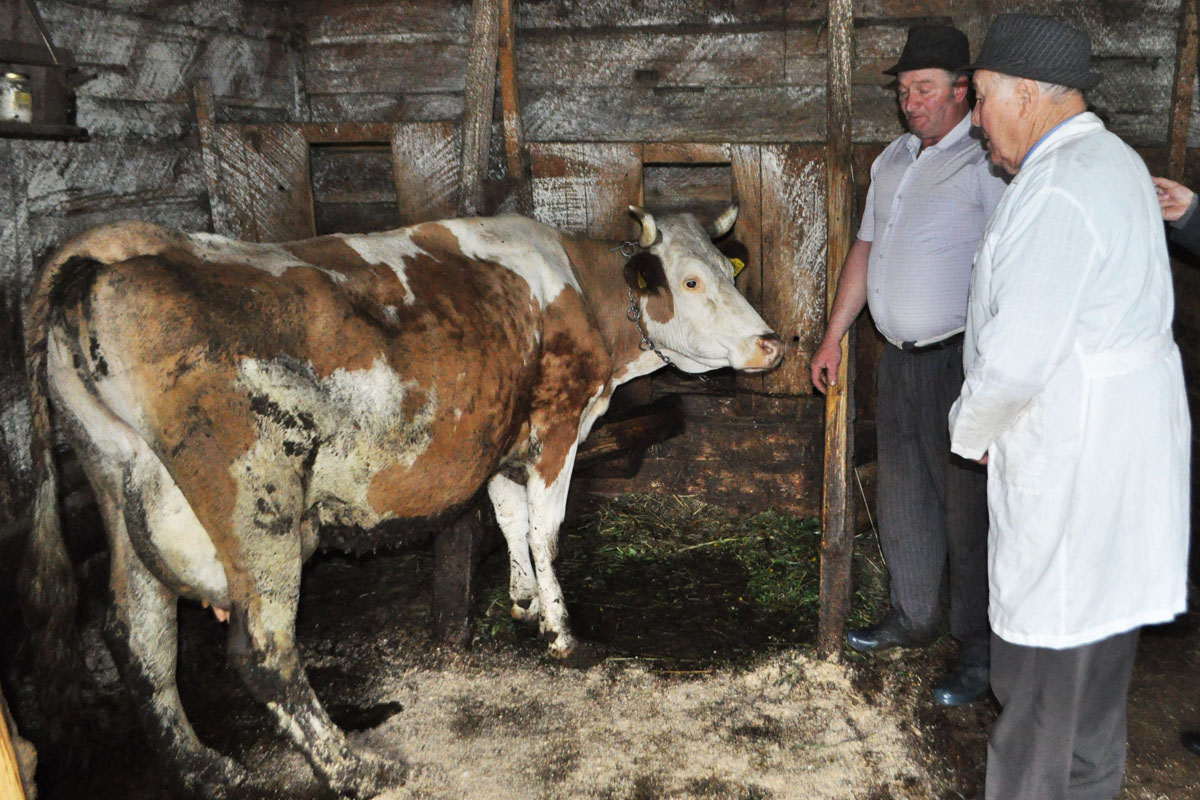Veterinarul octogenar din Pojorâta
