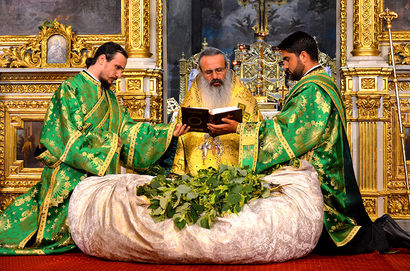 „Biserica îi cheamă pe toți să facă din dobândirea Duhului Sfânt scopul suprem al vieții”