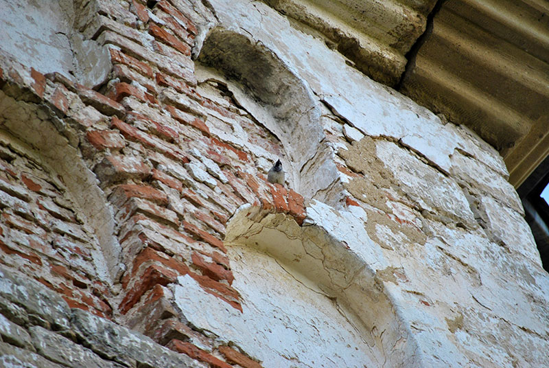 Un lăcaș „lăsat în pace”: Mănăstirea Bârnova