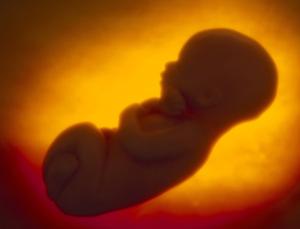 Cea mai îngrozitoare crimă a istoriei