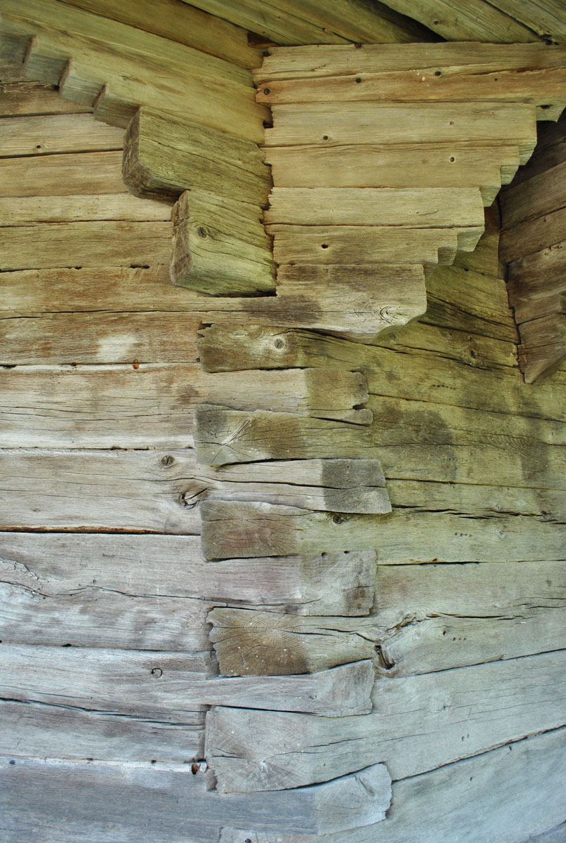 Vechea biserică a Putnei, un monument condamnat la dispariţie